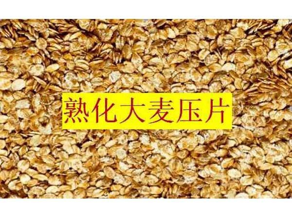上海熟化大麦压片