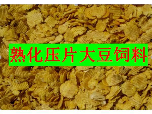 上海熟化压片大豆饲料